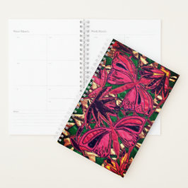 Agenda Mariposas