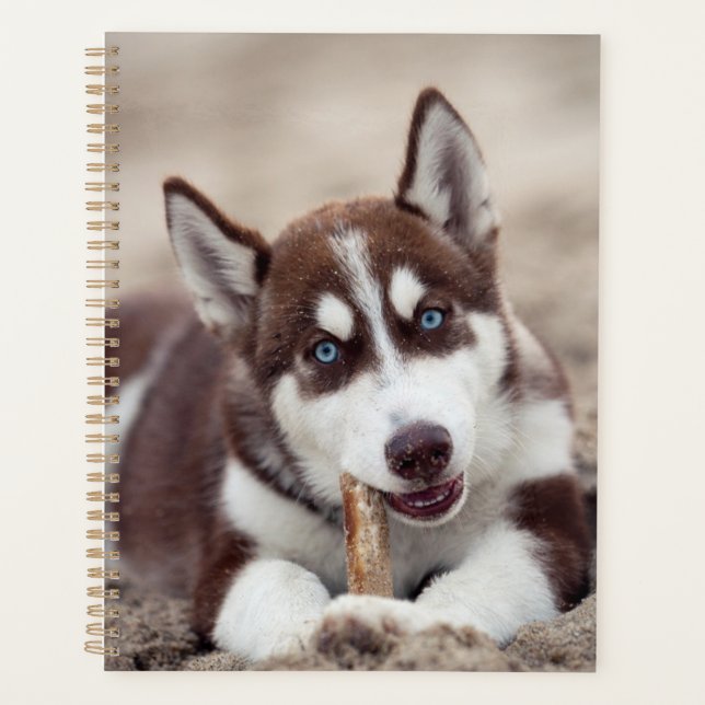 Agenda Mariquita Husky siberiana en la playa (Anverso)
