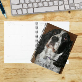 Agenda Mascota Español Springer en inglés