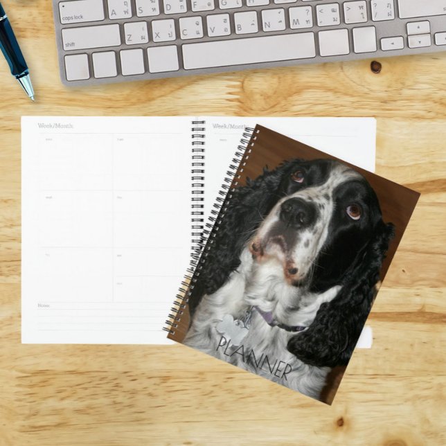 Agenda Mascota Español Springer en inglés (In Situ)
