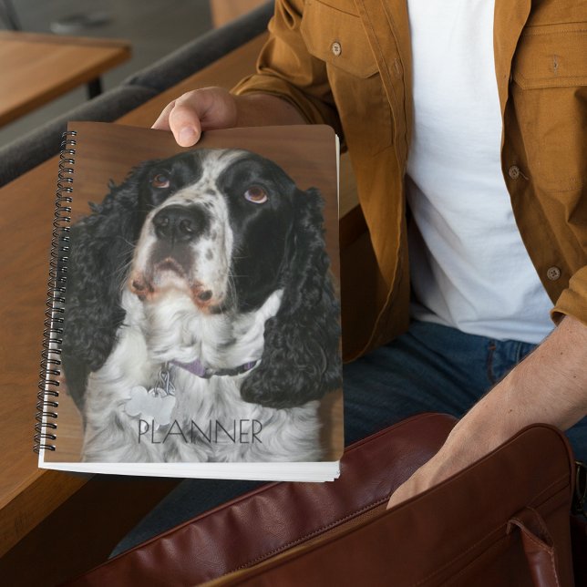 Agenda Mascota Español Springer en inglés (In Situ)