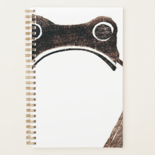 Agenda Matsumoto Hoji Frog