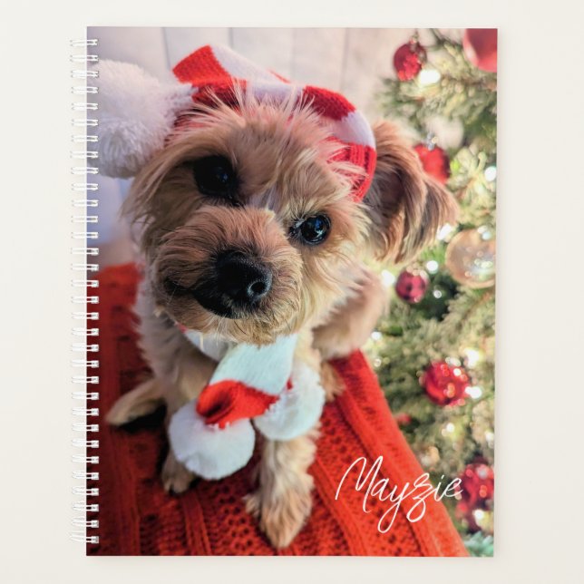 Agenda Mayzie Planner (Anverso)