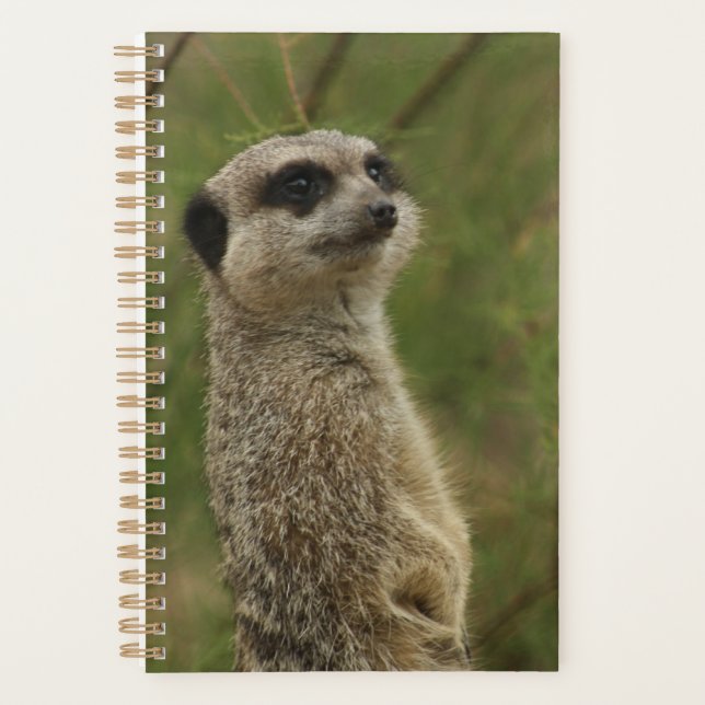 Agenda Meerkat Spiral Planner and Notebook (Anverso)