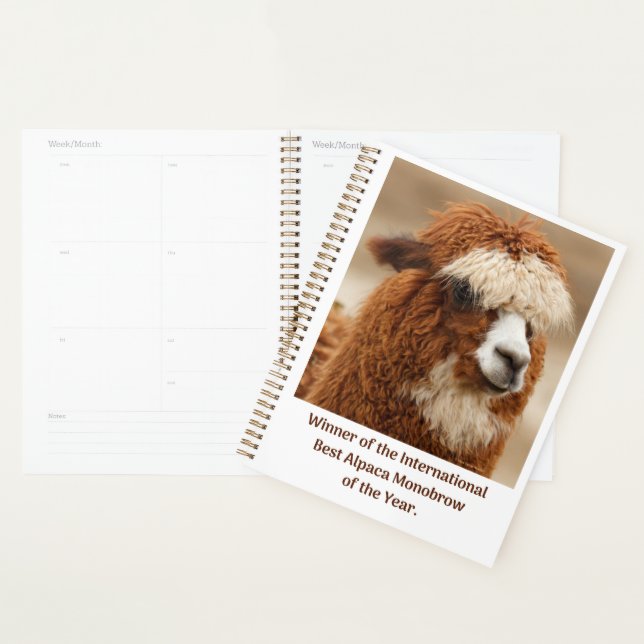 Agenda Mejor ceja única de alpaca (Demostración)