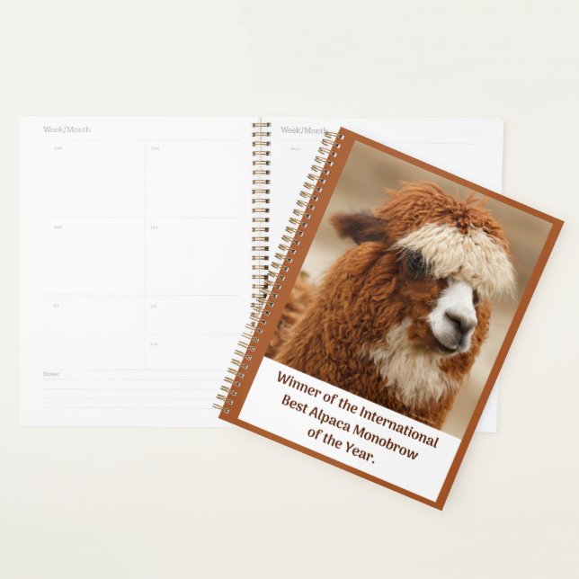 Agenda Mejor ceja única de alpaca (Demostración)