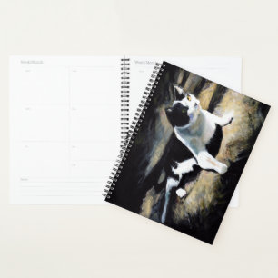 Agenda Melvin el Bella Artes del gato