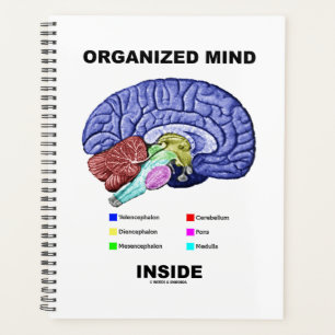Agenda Mente organizada dentro del humor cerebral anatóm
