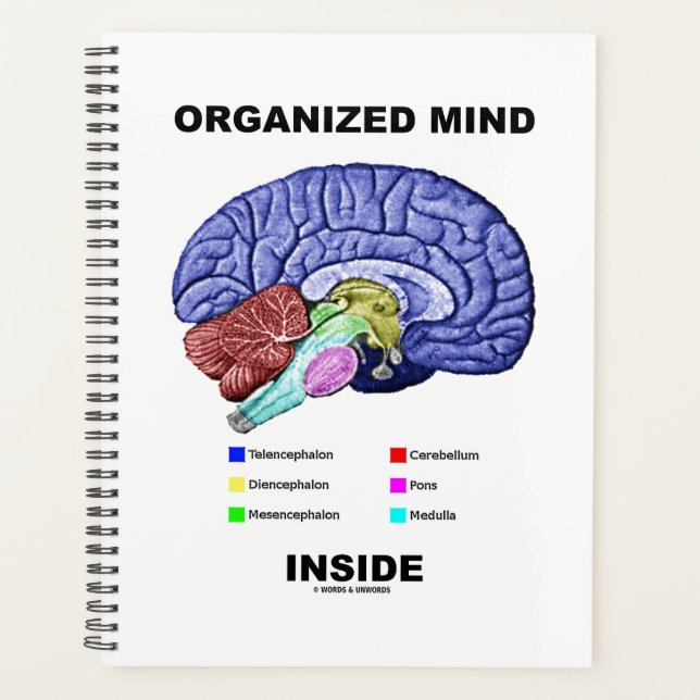 Agenda Mente organizada dentro del humor cerebral anatómi (Anverso)