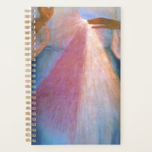 Agenda Mercy Divina Original De Kazimirowski