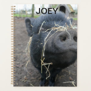 Agenda Mi cerdo mascota.