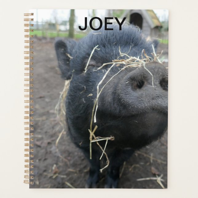 Agenda Mi cerdo mascota. (Anverso)
