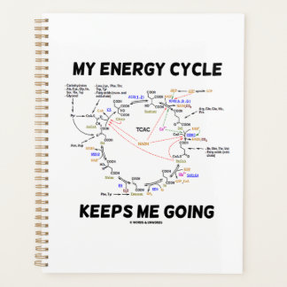 Agenda Mi ciclo de energía me mantiene yendo al humor del