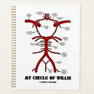 Agenda Mi Círculo De Arterias Willis Humor Anatómico