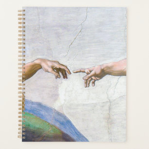Agenda Miguel Ángel - Creación de Adam aislado