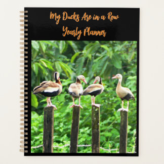 Agenda Mis pollos están en segundo plano