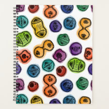 Mitosis - Color sobre blanco