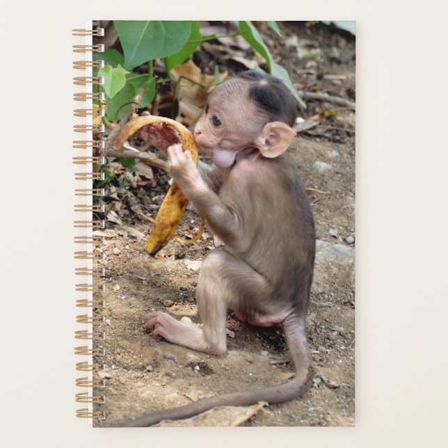 Agenda Mono bebé (Anverso)
