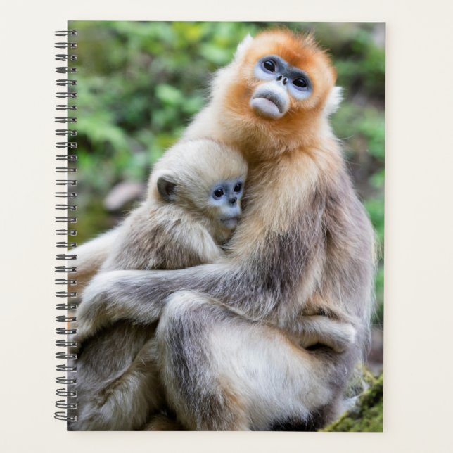 Agenda Mono Nariz Chata Dorado con Bebé (Anverso)