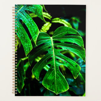 Agenda Monstera Tropical Glow – Fotografía de Hojas de Ju