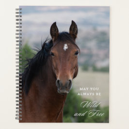 Agenda Montaña Pryor Wild Mustang "Ula"