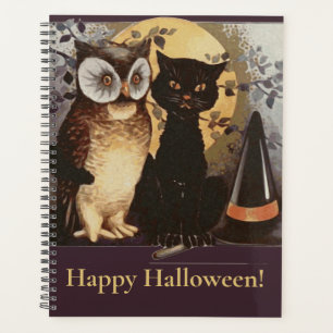 Agenda Moon Gorra de bruja negra de gato y búho de Hallow