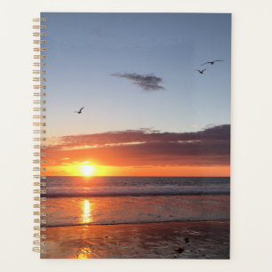 Agenda Moonlight Beach Sunset