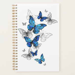 Agenda Morfo de las mariposas voladoras azules