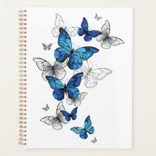 Agenda Morfo de las mariposas voladoras azules