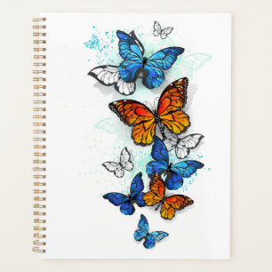 Agenda Morfo y monarca de las mariposas voladoras