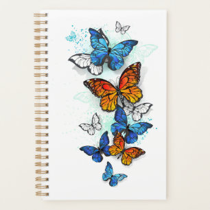 Agenda Morfo y monarca de las mariposas voladoras