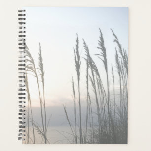 Agenda Morning Whisper