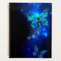 Morpho Butterfly in the Dark Background