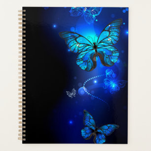 Agenda Morpho Butterfly in the Dark Background