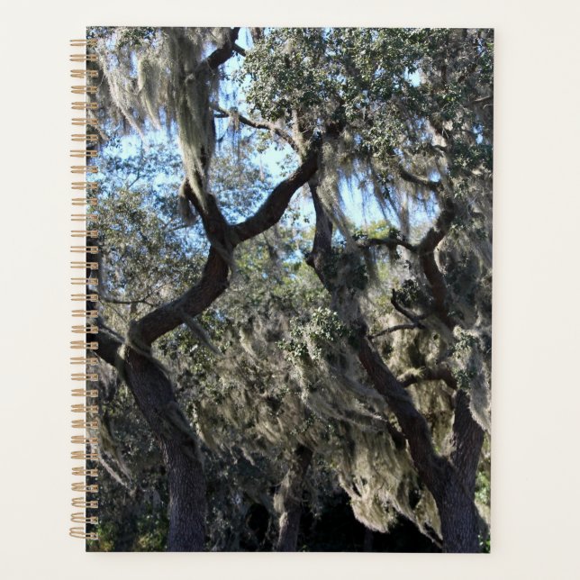 Agenda Moss españoles de Florida (Anverso)