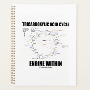 Agenda Motor Del Ciclo Del Ácido Tricarboxílico Dentro De