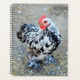 Agenda Mottled Bantam Cochin Chicken Planner