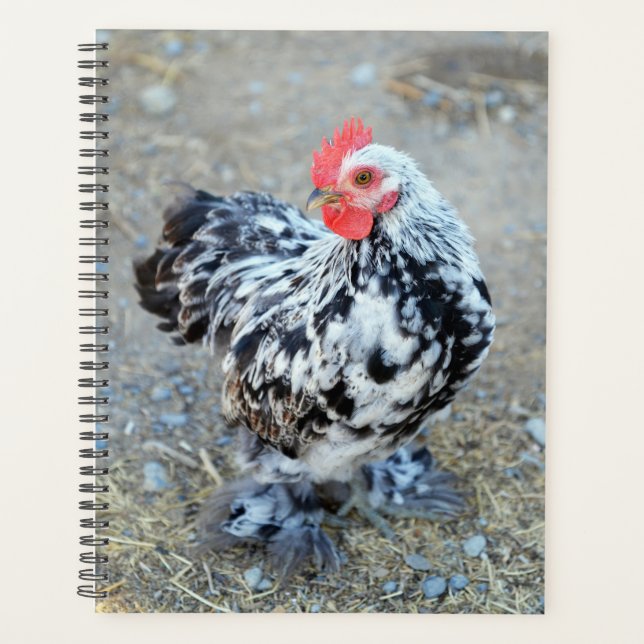 Agenda Mottled Bantam Cochin Chicken Planner (Anverso)