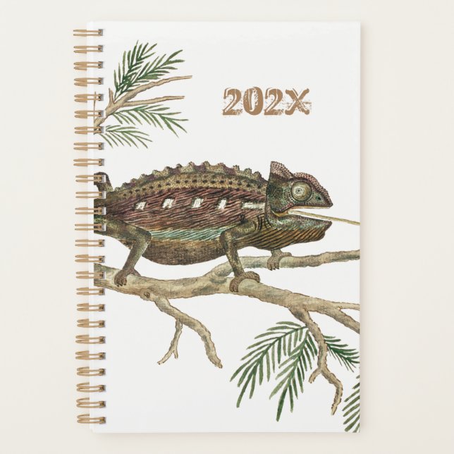 Agenda Namaqua chameleon Lizard Reptile Gecko Jigsaw (Anverso)