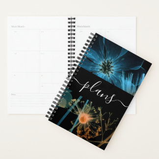 Agenda Naranja azul Boda de flores silvestres de rayos X