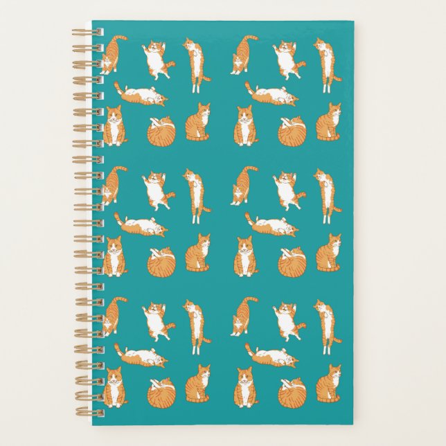 Agenda Naranja Cats Funny (Anverso)