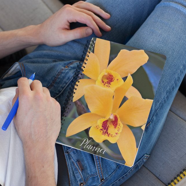 Agenda Naranja Laeliocattleya Orchids Floral (In Situ)