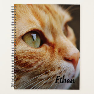 Agenda Naranja Tabby con Personalizado de ojos verdes
