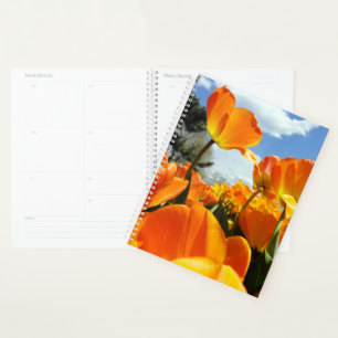 Agenda Naranja Tulip llegando al cielo