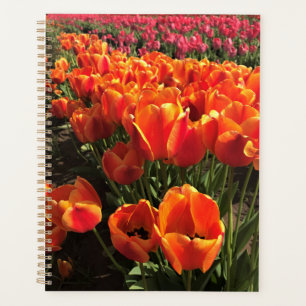 Agenda Naranja y tulipanes rojos