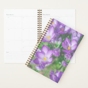 Agenda Naturaleza Púrpura Púrpura Pastel Crocus Flores Fl