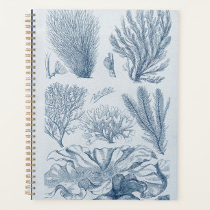 Agenda Nautical Sealife