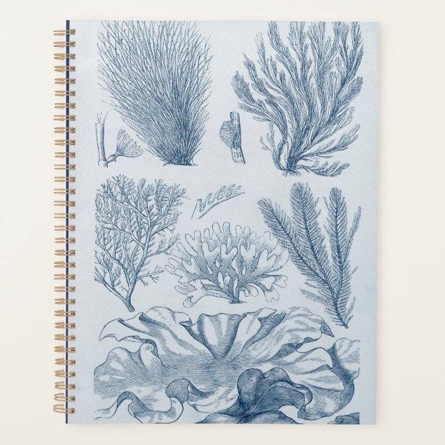 Agenda Nautical Sealife (Anverso)