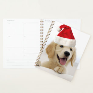 Agenda Navidades de Cachorros de Golden Retriever