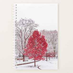 Agenda navidades de invierno 89